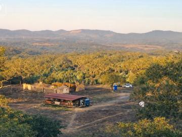 Vida autossuficiente em Portugal: Propriedade de 3,25 ha for. 200m² Relíquias