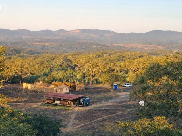 Vida autossuficiente em Portugal: Propriedade de 3,25 ha for. 200m² Relíquias
