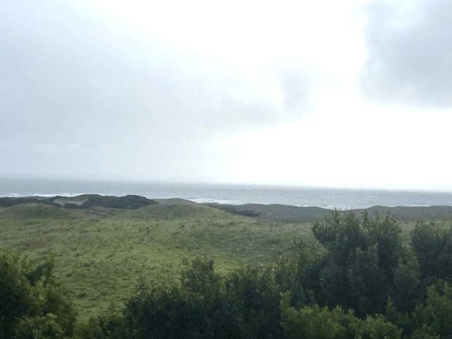 Views & Opportunity in Currie