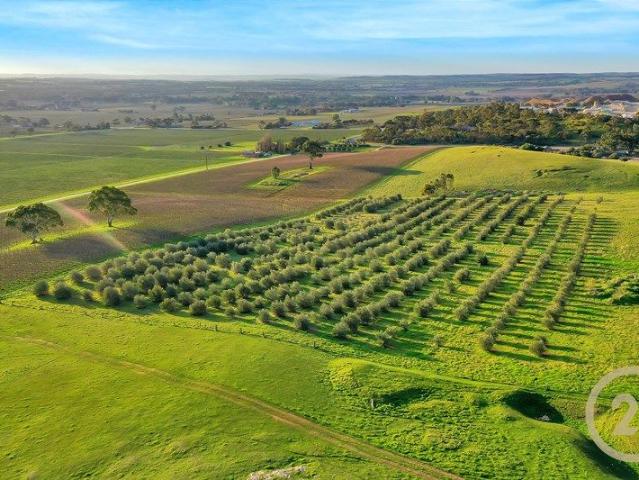 25 acres of rolling hills and valley views