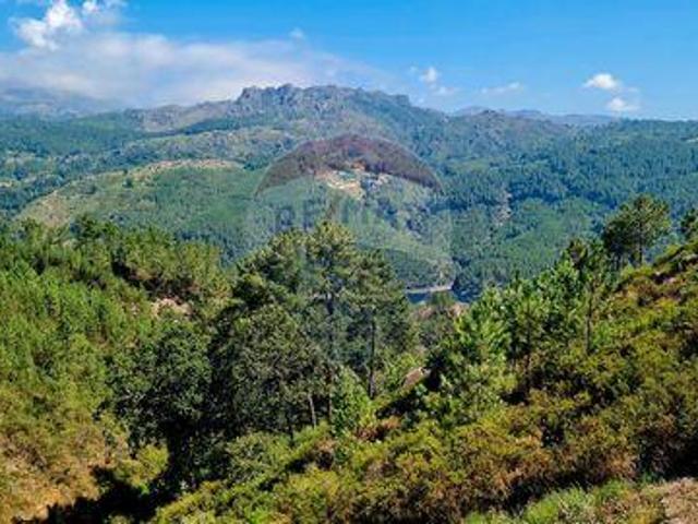 Vieira Do Minho Braga 100020172