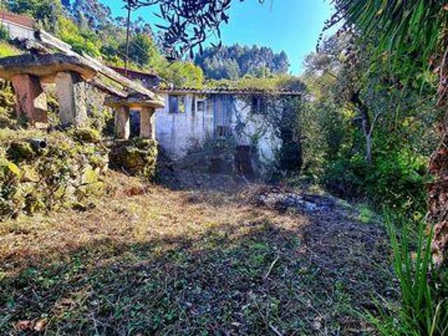 Vieira Do Minho Braga 100020195