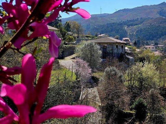 Vieira Do Minho Braga 102252313