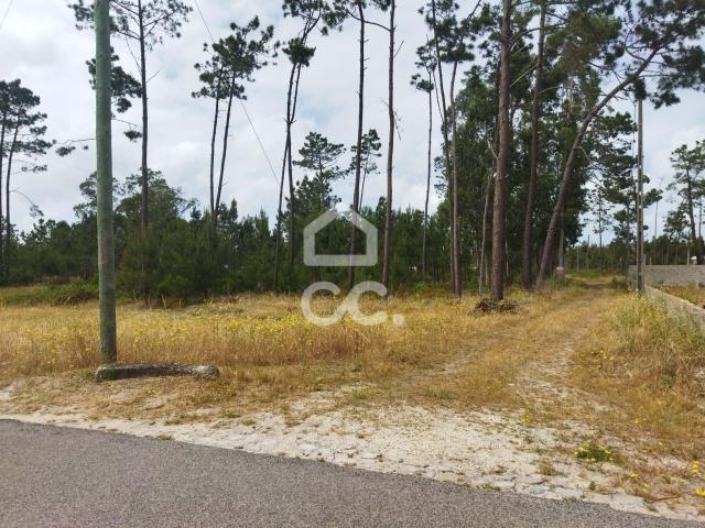 VIEIRA DE LEIRIA Terreno com a área de 3.560 m2 localizado na zona de Vieira de Leiria, a 3 Km da Praia da Vieira e a 5 Km da Praia do Pedrogão