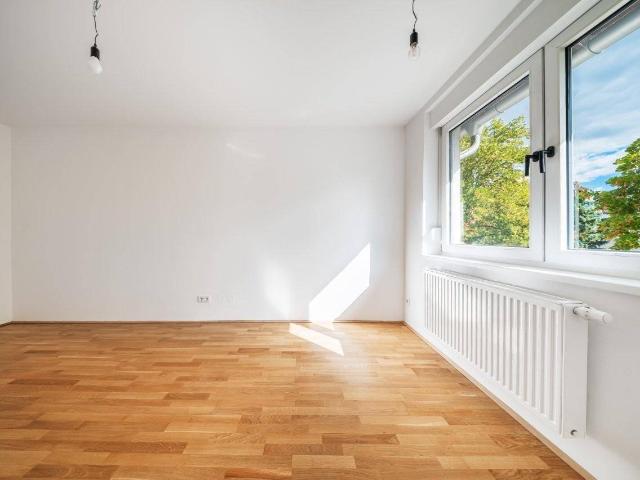 Viel Licht. Frischer Look. Freie Mietzinsgestaltung