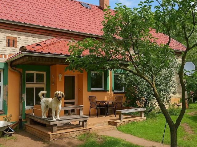 Viel Platz für Ideen – 5 Zimmer Haus 160 m² Wfl. mit Werkstatt, Partyraum & großem Garten bei Berlin