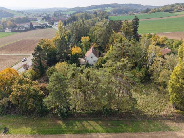 Viel Platz im Grünen: Haus mit Garage auf 8.580 m² Grundstück in Plankenberg