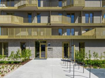 Viel Platz Viel Licht Viel Freiraum – 5 Zimmer mit großzügigem Balkon im Projekt Hirschfeld