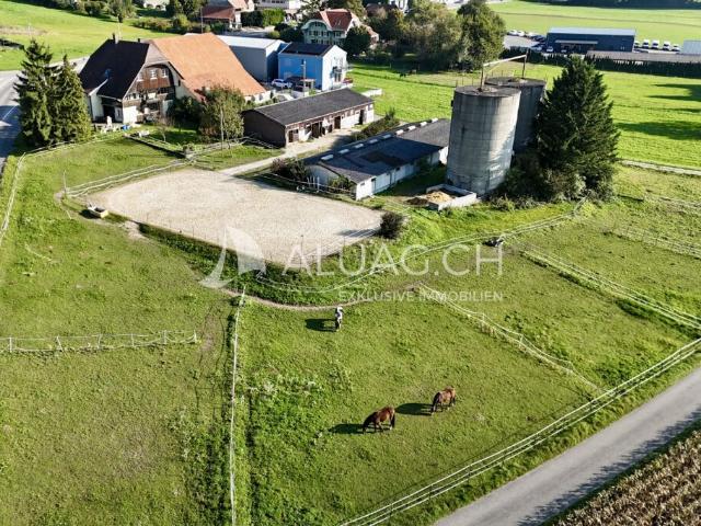 VIELSEITIGER PFERDEHOF MIT ZAHLREICHEN GESTALTUNGSMÖGLICHKEITEN