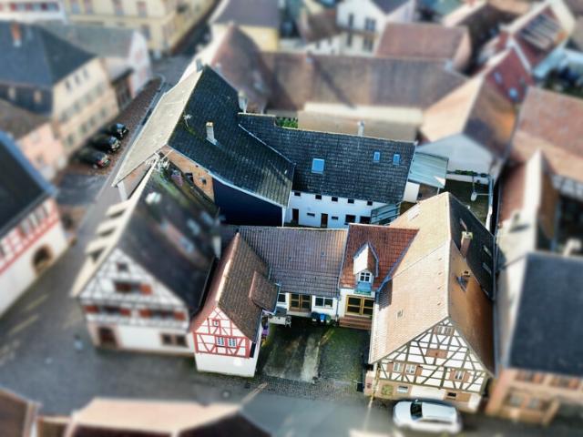Vielseitiges Anwesen mit 5 Einheiten, Innenhof & ehemaliger Gewerbeeinheit in Ilbesheim