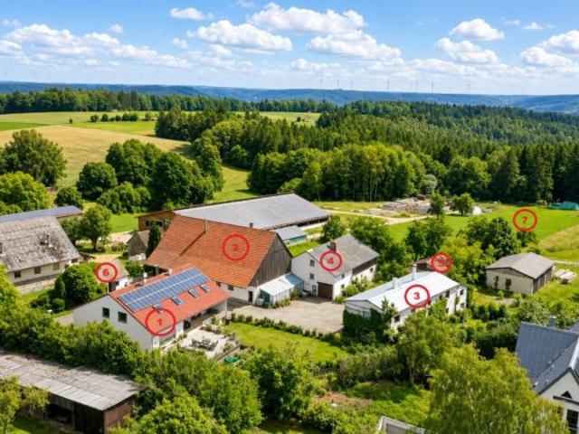 Vielseitiges Immobilienpaket: 7 WHG, 4 NG und einer Weide in Gspannberg