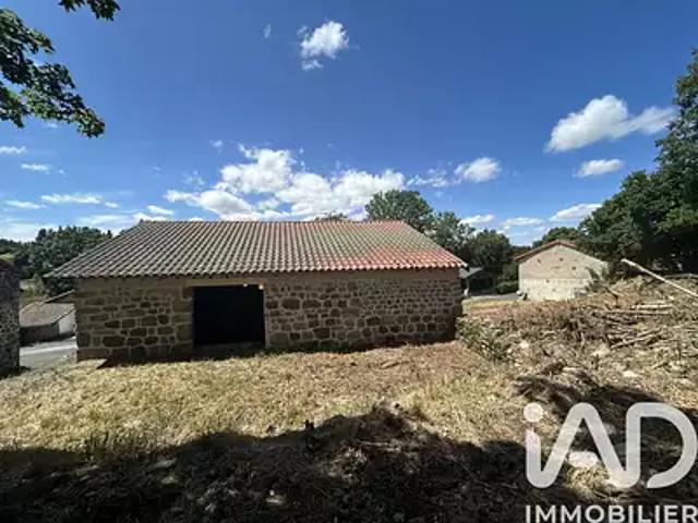 Vielprat 43490 Achat / Vente maison 1 pièce t1