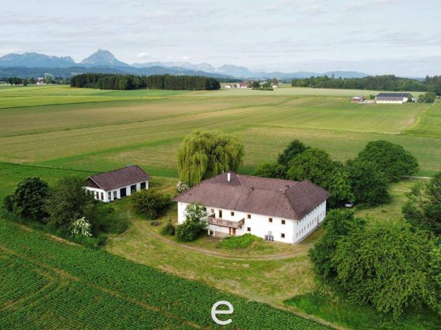 Vierkanthof in idyllischer Alleinlage