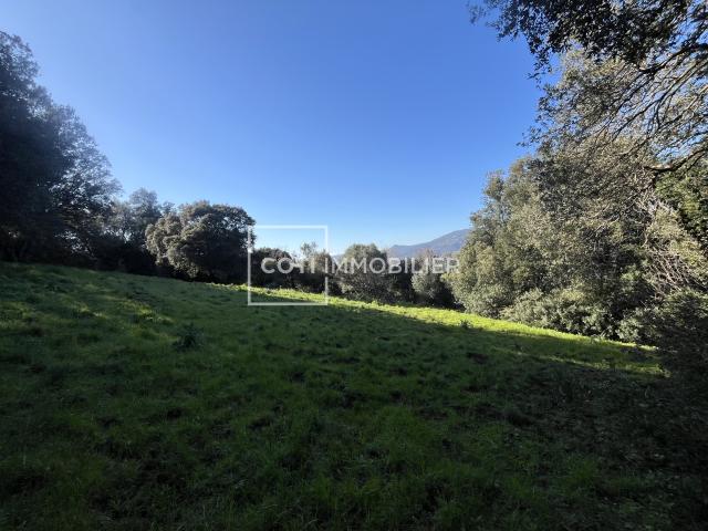 VIGGIANELLO MAISON EN PIERRE 130m2 AVEC TERRAIN DE 16 069m2