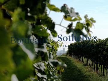 Vignoble D'exception En Pessac Leognan 14 Ha m² Bordeaux