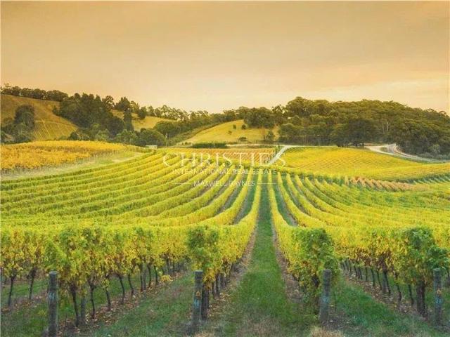 Vignoble Grande Champagne m² Cognac