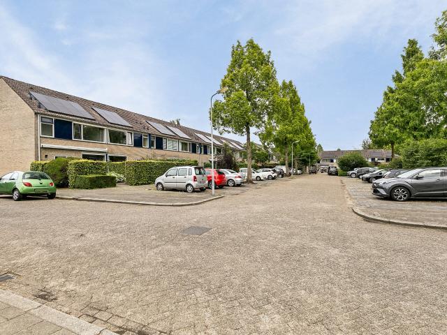 vijfde buitenpepers 8 's hertogenbosch