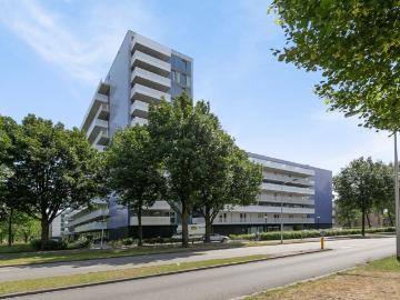 Olland, Meierijstad, Noord-Brabant - Parkeerplaats