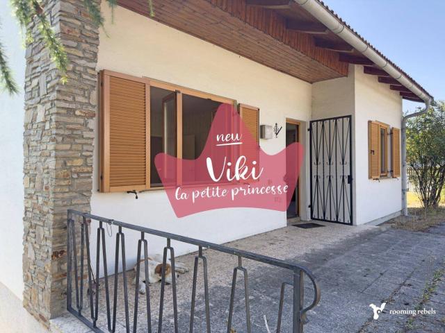 VIKI – LA PETITE PRINZESSIN VON SCHÖNBERG AM KAMP