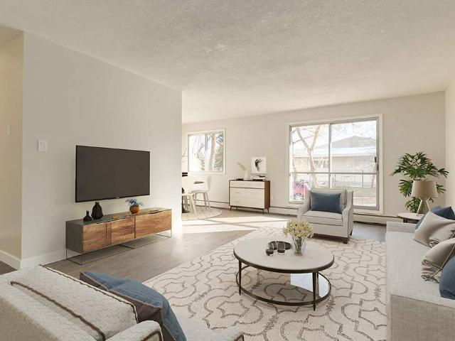 Viking Apartments 1 Bedroom Apartment for Rent