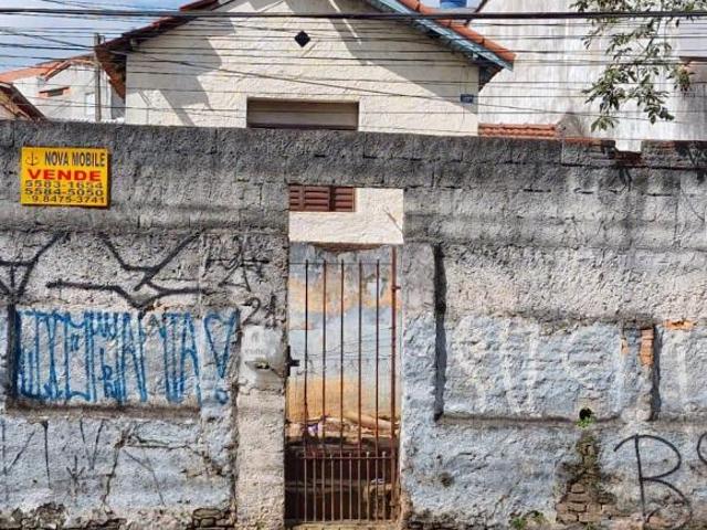 Vila Monte Alegre Terreno com 400m Venda