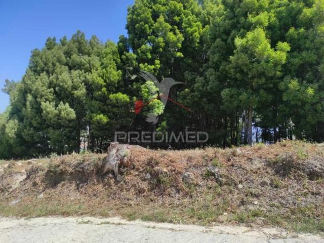Vila Nova de Gaia Vila Nova de Gaia 104923643