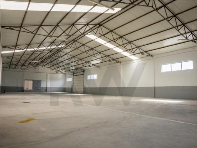 Vila Nova de Gaia Vila Nova de Gaia 105978444