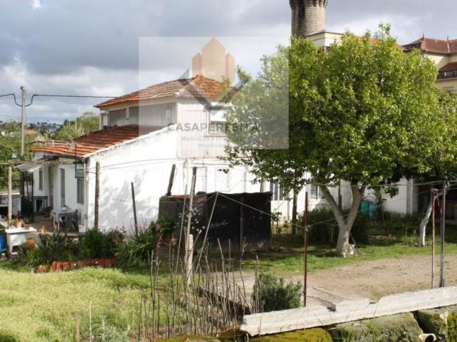 Vila Nova de Gaia Vila Nova de Gaia 105046252