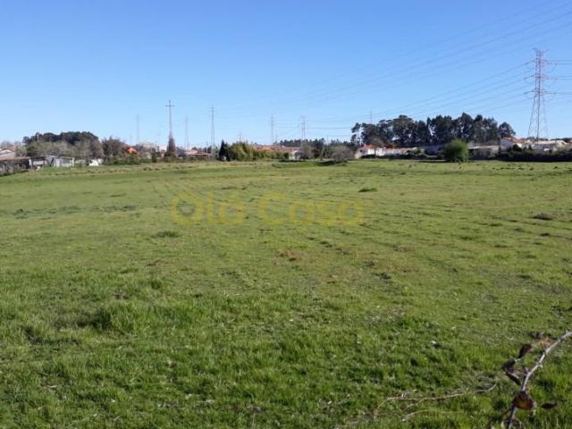 Vila Nova de Gaia Vila Nova de Gaia 105358732
