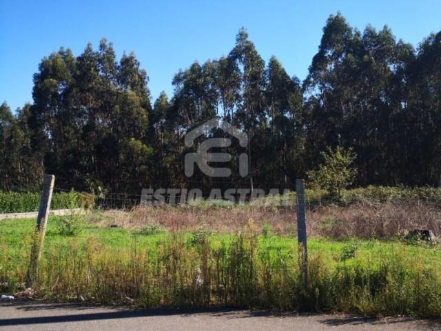 Vila Nova de Famalicão Vila Nova de Famalicão 101156500