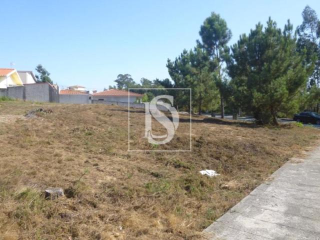 Vila Nova de Famalicão Vila Nova de Famalicão 102921836