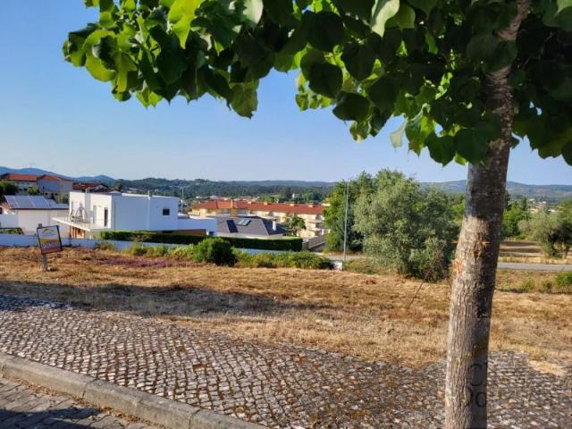 Vila Nova de Poiares Vila Nova de Poiares 104860587