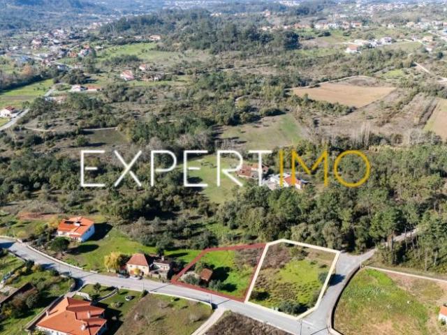 Vila Cã Leiria 95873073