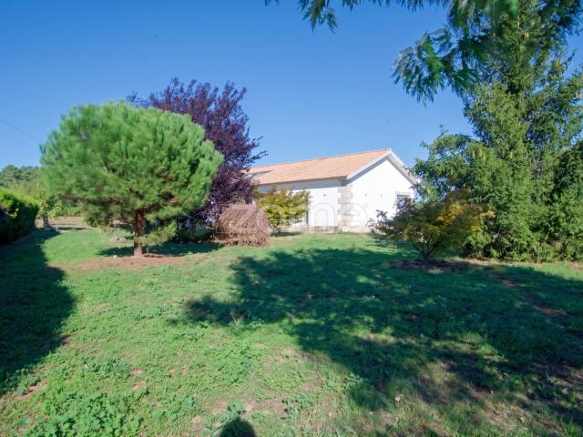 Vila de 4 quartos em Vila Real | 5.000m2 de terreno | 1 hora de Cascais