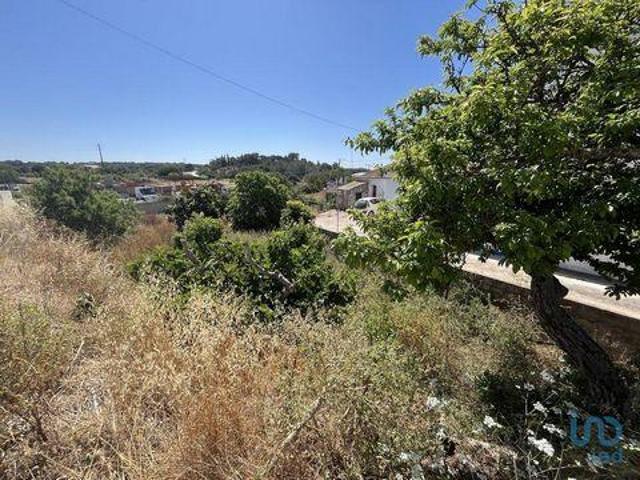 Vila Do Bispo Faro LS95684297