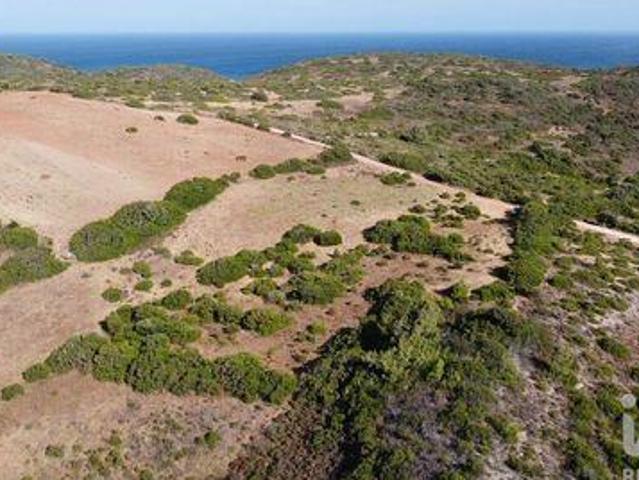 Vila Do Bispo Faro 95296078