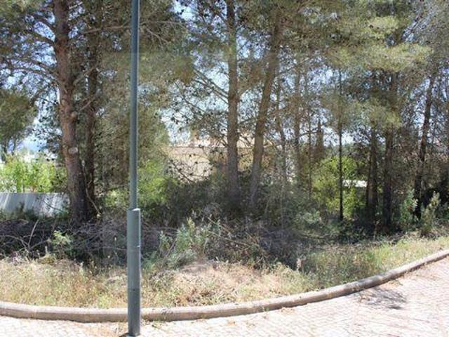 Vila do Bispo Faro LS97101599