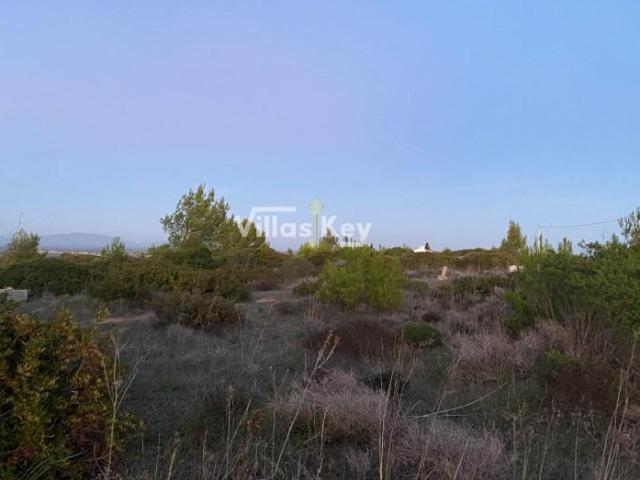 Vila do Bispo Vila do Bispo LS105182822