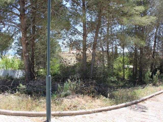Vila do Bispo Vila do Bispo 97123874
