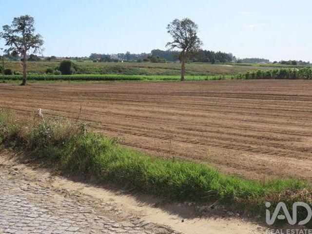 Vila Do Conde Porto 98434362