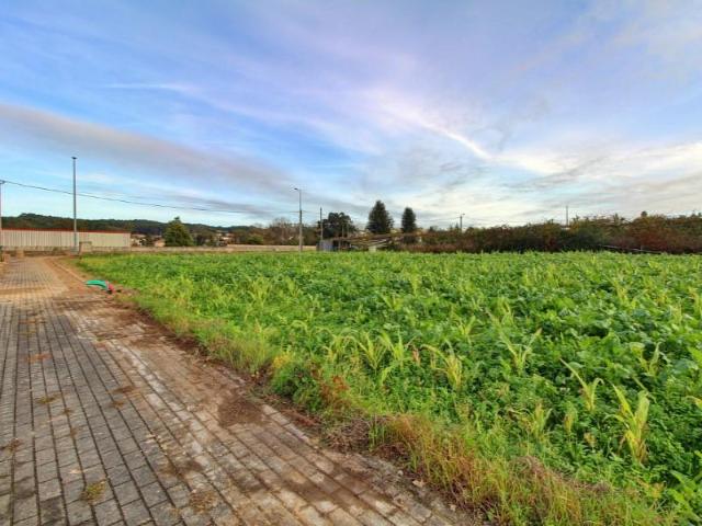 Vila do Conde Vila do Conde 101863155