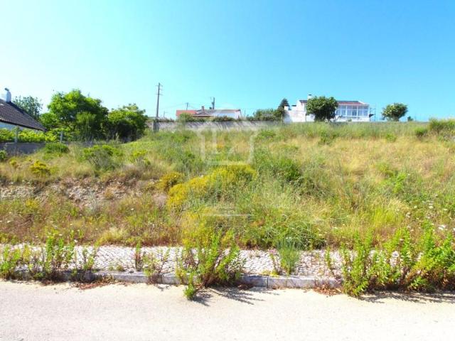 Vila Franca de Xira Vila Franca de Xira 100351818