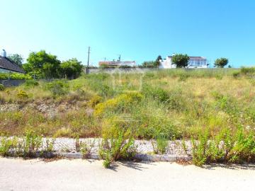 Vila Franca de Xira Vila Franca de Xira 100351818