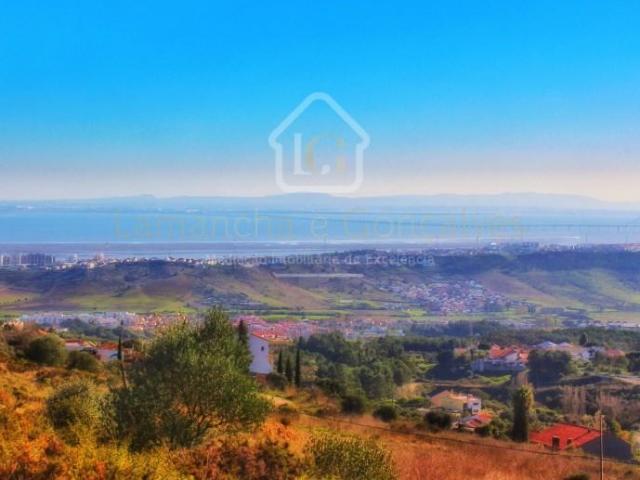 Vila Franca de Xira Vila Franca de Xira 100377264