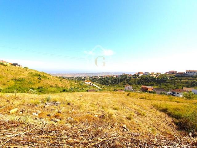 Vila Franca de Xira Vila Franca de Xira 100377262