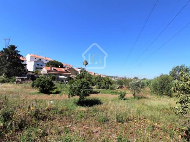 Vila Franca de Xira Vila Franca de Xira 96261274