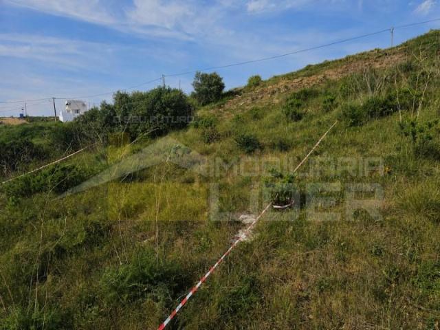 Vila Franca de Xira Vila Franca de Xira 99885651