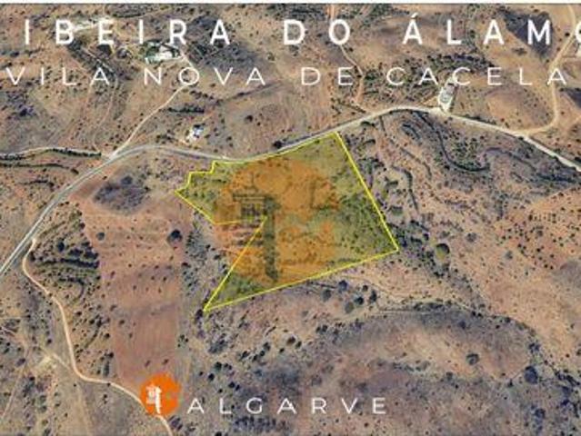 Vila Real de Santo António Faro 103157261