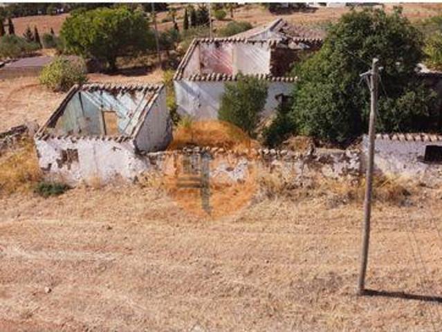 Vila Real de Santo António Faro 96214135