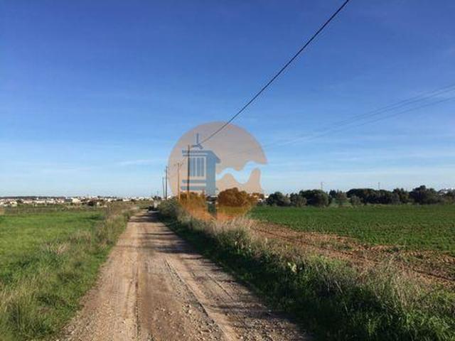 Vila Real de Santo António Faro 98149932